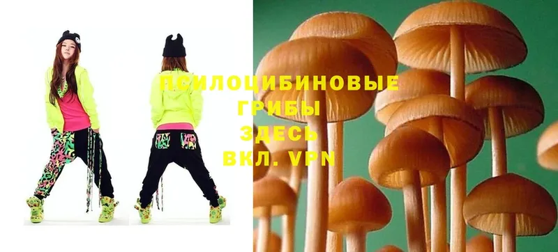 Псилоцибиновые грибы Magic Shrooms  Нягань 